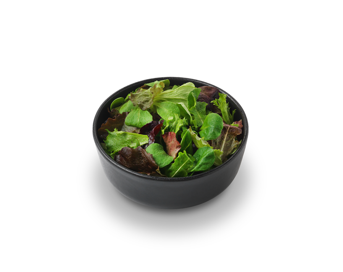 Migros Partyplatten | Blattsalat Mischung